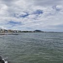 샛도리물 이미지