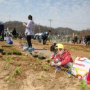 배치농장 이미지