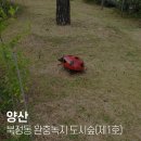 북정동 도시숲 이미지