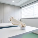 백년튼튼정형외과재활의학과의원 | 팔꿈치 관절 건강을 위한 체계적 이해와 관리 방법