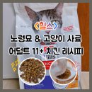 비비의 사료 교체, <힐스> 노령묘 고양이 사료 어덜트 11+ /성분 함량 &amp; 장·단점 &amp; 후기