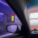 올댓독 | 천안 노터치 세차장 "올댓워시 차암점"