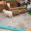 [일상]11월을 여는 이야기