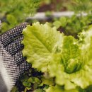 처음농장 이미지