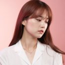 폭스스토리