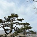 팔공산원효구도의길 이미지