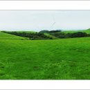 여름목장 이미지