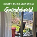 앨리스 | 스위스 그린델발트 숙소 앨리스할머니 Bachsee 바흐제 후기