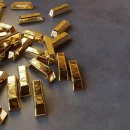 금보유전자 이미지