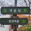 섬진강대나무숲길 이미지