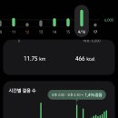 온김애 | 올해 야구 회기록