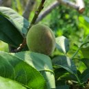 장연리경로당 이미지