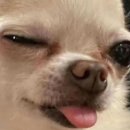 지에스25 센트럴중앙점 | 25년 연말과 26년 초는 놀기 바쁘다