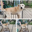 봉정축산 이미지