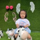 서윤목장 이미지