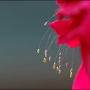 풍년당구장 이미지