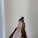 늦잠