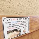 하나돈까스 광안점 이미지