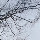 목련약국 이미지