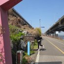 미원광고 | 2026.04 (1) 벚꽃 피는 계절, 낭만 찾아 떠난 여행들