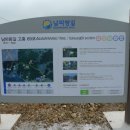 도화버스공용터미널 이미지