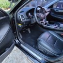 펫앤피플 이미지