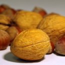 오드리여성한의원 이미지