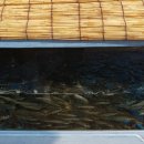 연지민물매운탕 이미지