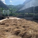 운상농장 이미지