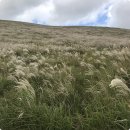 스테이 르브아 이미지