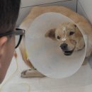 풍이농장 이미지