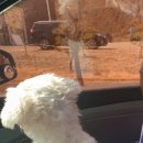 답21동물병원 이미지