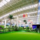 K-1 스크린골프 이미지