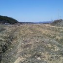 은행농장 이미지