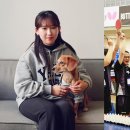 위즈코퍼레이션 이미지