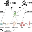 Re: Nutritional Regulation of Muscle Stem Cells in Exercise and Disease 이미지