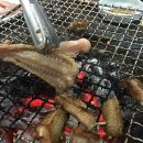 기장꼼장어 이미지