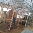 대곡농장 이미지