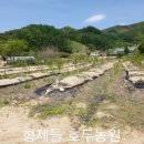 형제2농장 이미지