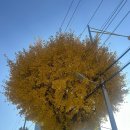 합성동111 | 얼레벌레 지나간 12월, 그리고 2025년✨ 근데 나이 반납할게요. 환불해주세요.