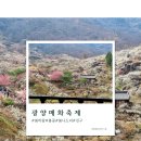 매화1 | 울산 출발 당일여행 1탄 | 돌고래여행사 광양매화축제 봄꽃 여행 후기 포토존 주차정보 옷차림 먹거리 정보
