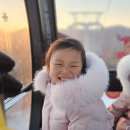 소노펠리체비발디파크 이미지