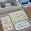 내돈내산 대전 둔산동 소품샵 잠시다락 후기 ㅣ 다꾸러라면 꼭 가봐야 할 곳