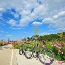 팔당물안개공원 이미지