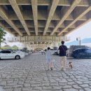 서서아이스크림용담점 | 양평 두물머리애견동반 여행 주차장팁(f.두물머리핫도그)