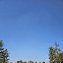 소나무숲 | 경기도 골프장 추천 소나무 숲 솔모로CC 체리코스 골프 라운딩 후기