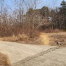 대안4리마을회관 이미지