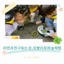 세종 모뽀리포레 숲 체험 후기 자연 속에서 놀며 배우는 시간