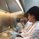 농림축산검역본부 이미지