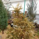 화백농장 이미지